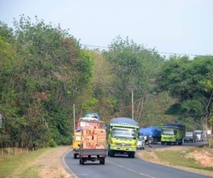 Kondisi lintas timur Sumatera di Banyuasin, Sumatera Selatan (sumber : antaranews.com)